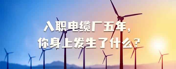 入職電纜廠五年，你身上發(fā)生了哪些變化~